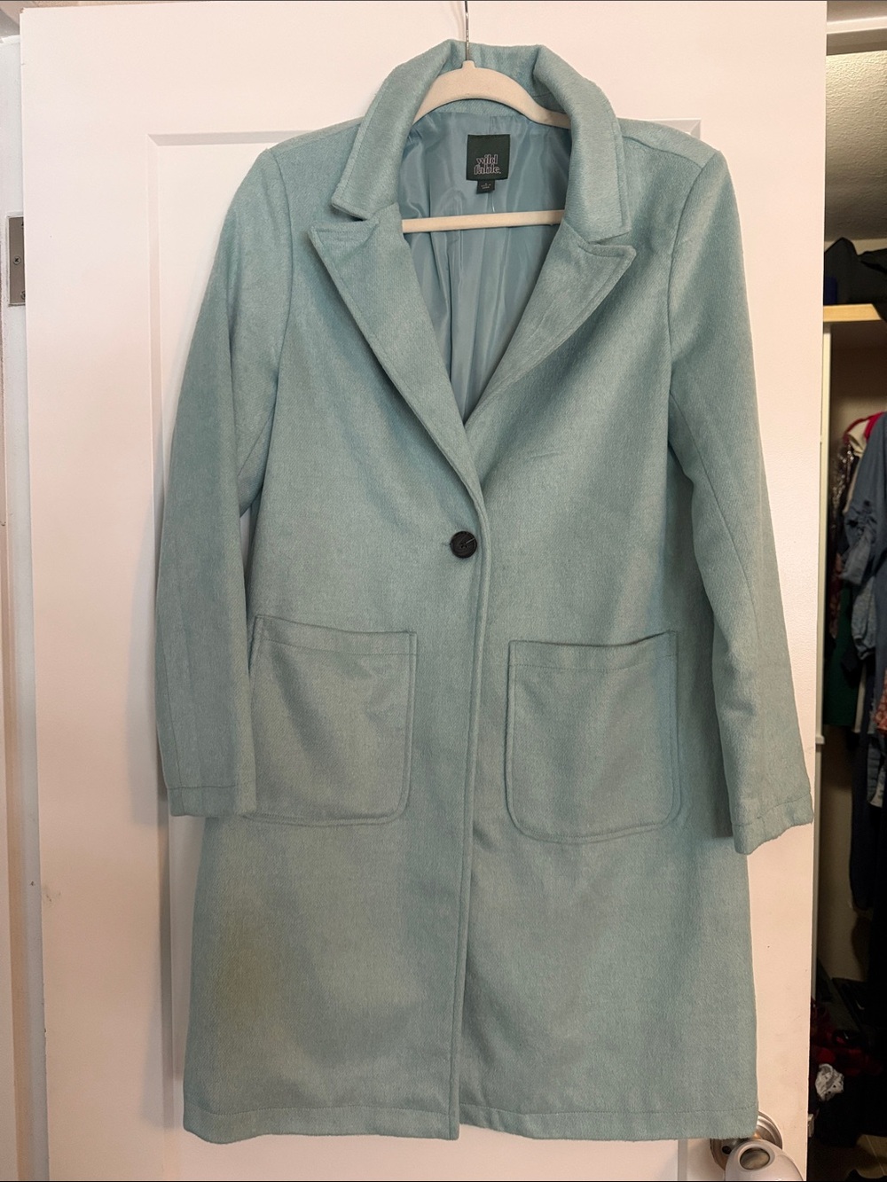 wild fable Soft Mint Blue Single-Button Peacoat